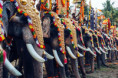 /album/fotogaleria-lakadivy-zajazd/lakadivy-zajazd-india-jamajkanita-21-jpg/
